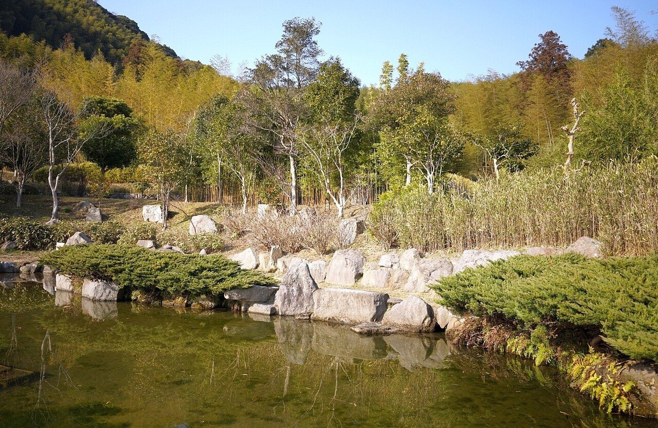 20210201_合馬竹林公園_8