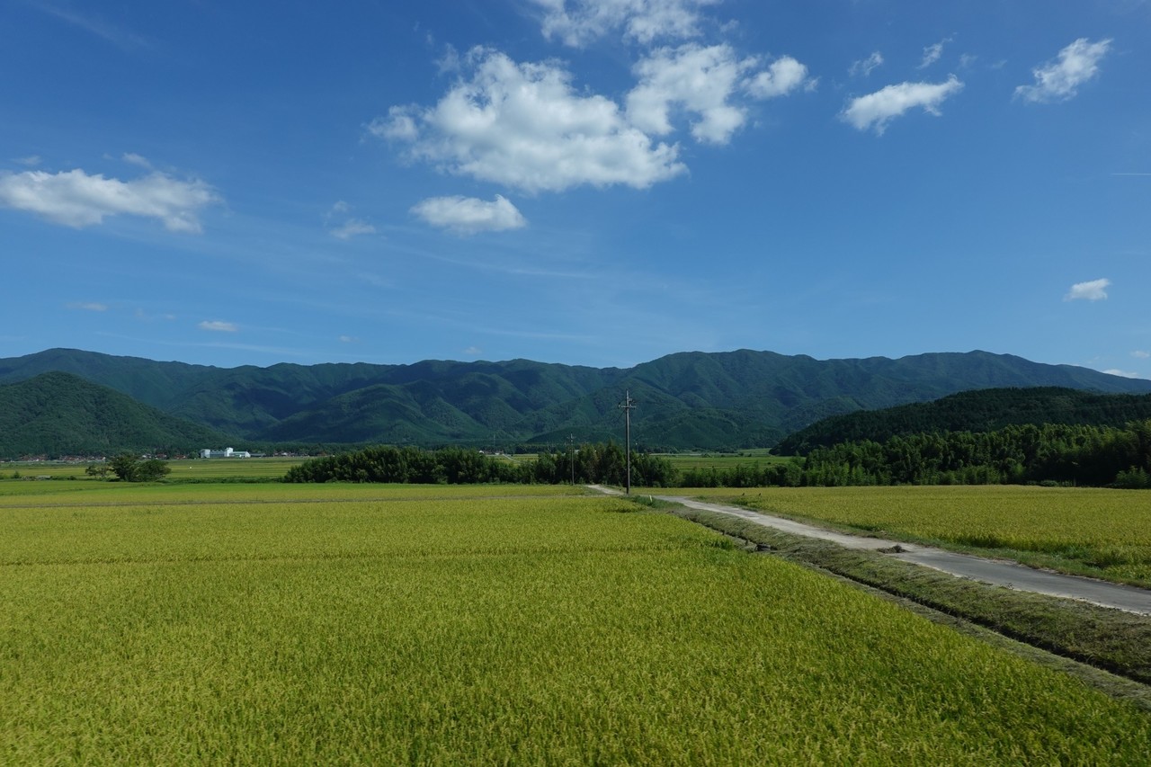 20200419_徳佐盆地_カバー写真