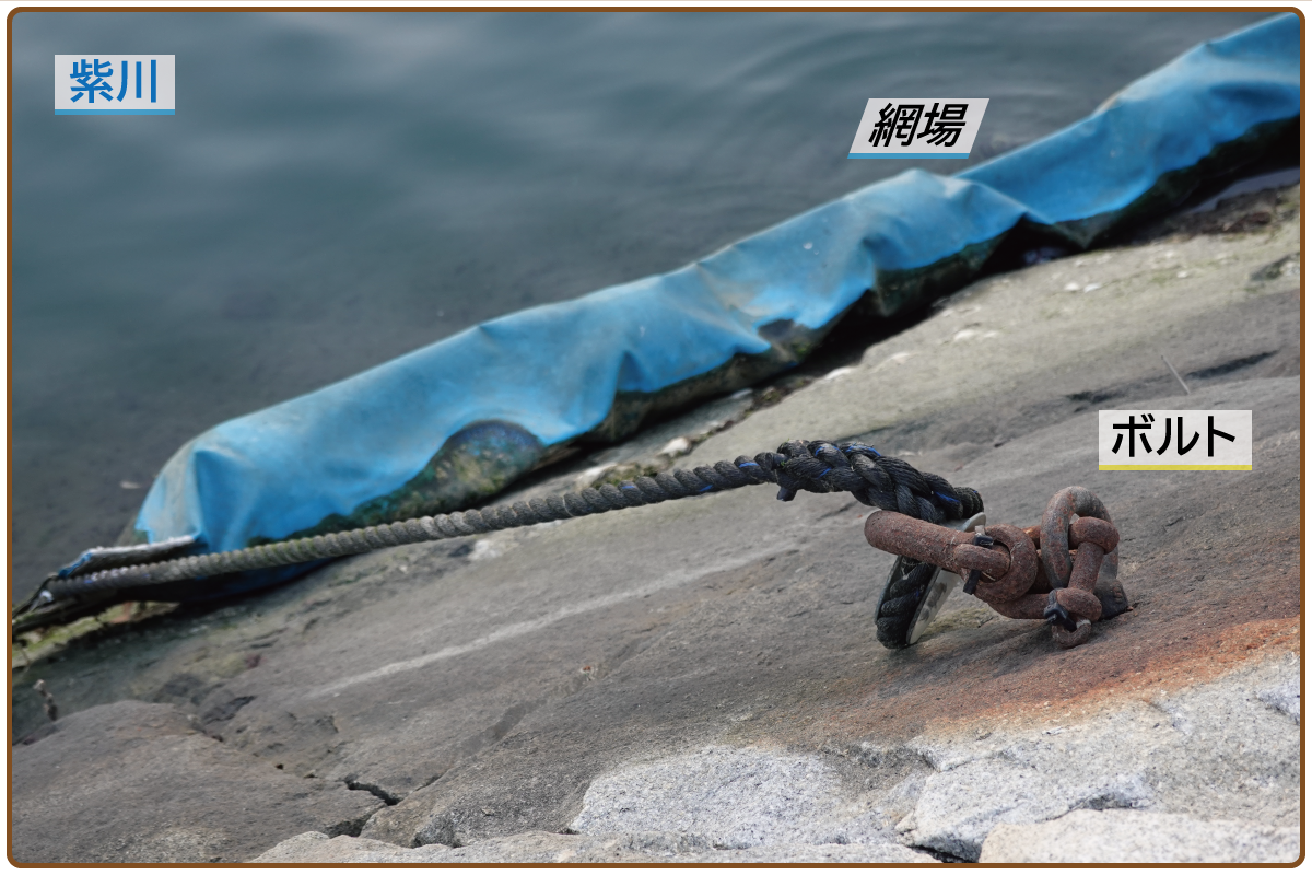 20200512_紫川の謎_金具_ボルト