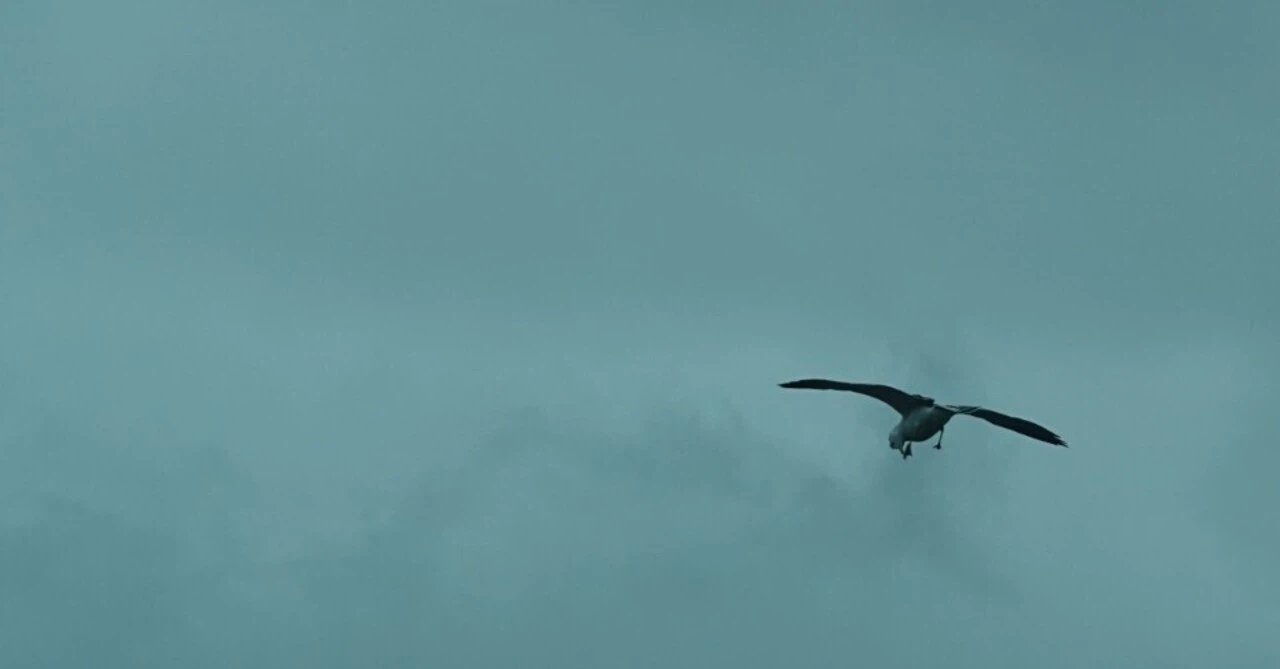 やはり、そうですか。（今日の夢）